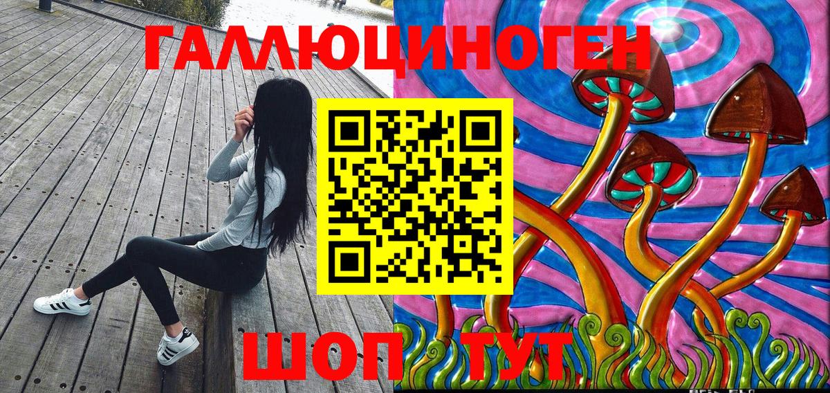 Псилоцибиновые грибы GOLDEN TEACHER Домодедово